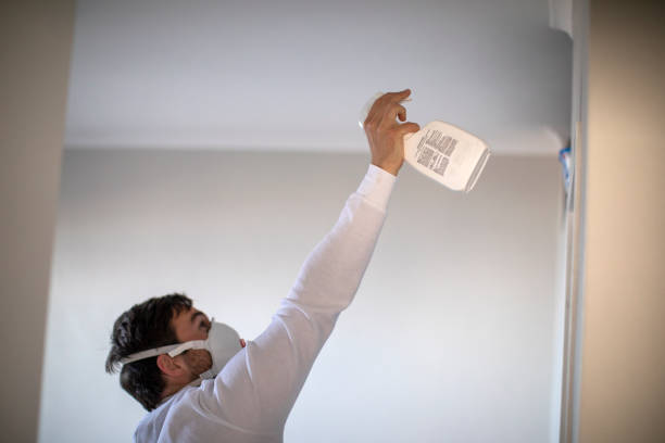 Crawl Space Mold Removal in Oakwood Hills, IL
