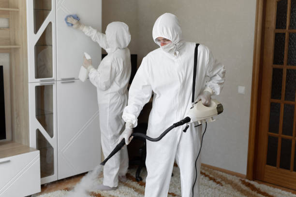 Professional Mold Removal in Oakwood Hills, IL